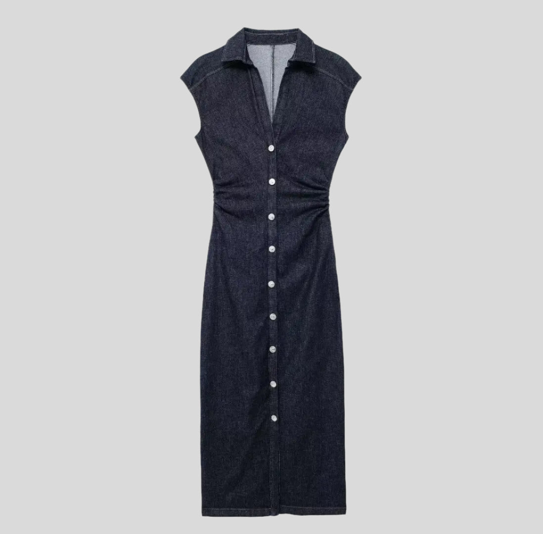 Jein Button Denim Dress