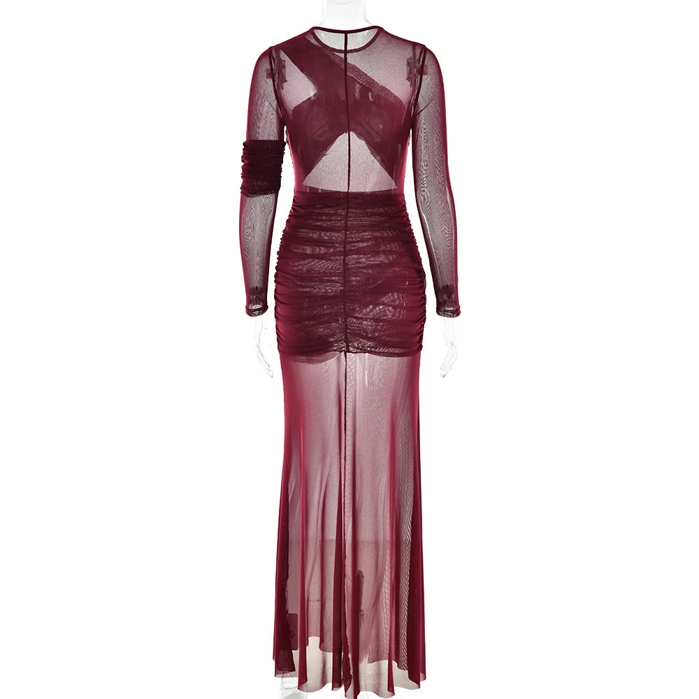 HIK Semi-Sheer Bodycon Dress